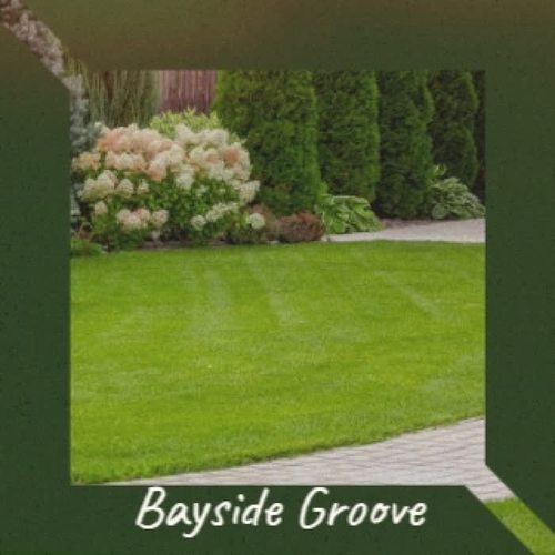 Bayside Groove