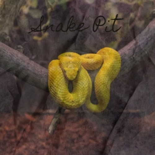 Snake Pit