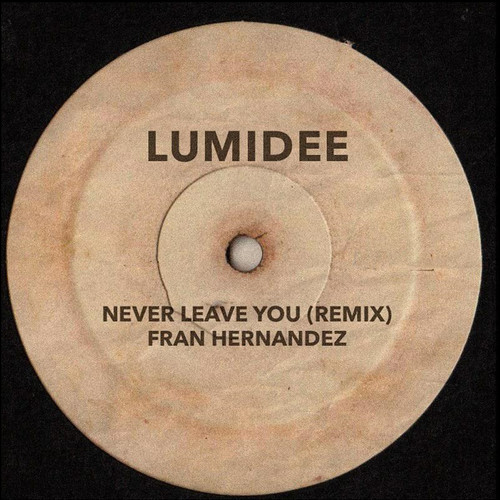 Never Leave You (Remix)