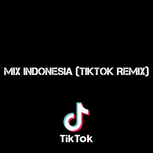 Mix Indonesia (Tiktok Remix)