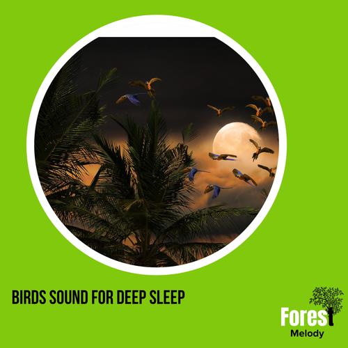 Birds Sound for Deep Sleep