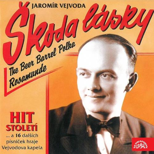 Jaromír Vejvoda Škoda Lásky