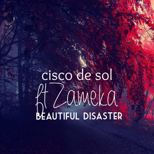 Beautiful Disaster