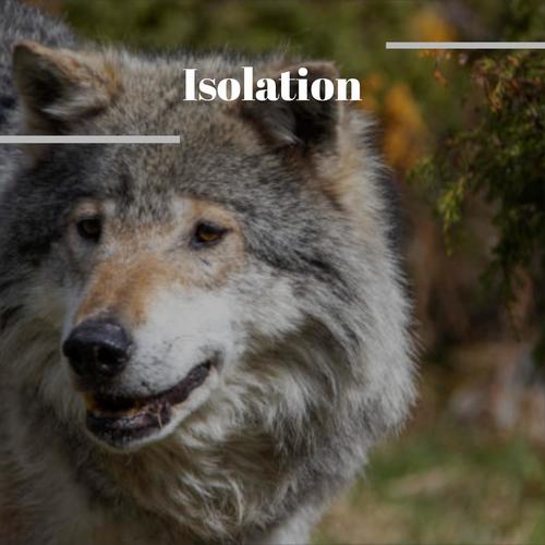 Isolation
