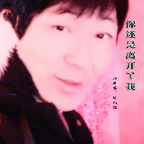 你还是离开了我
