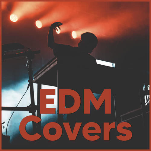 EDM Covers - Dance Covers 2020