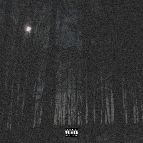 The Night Tapes (Explicit)