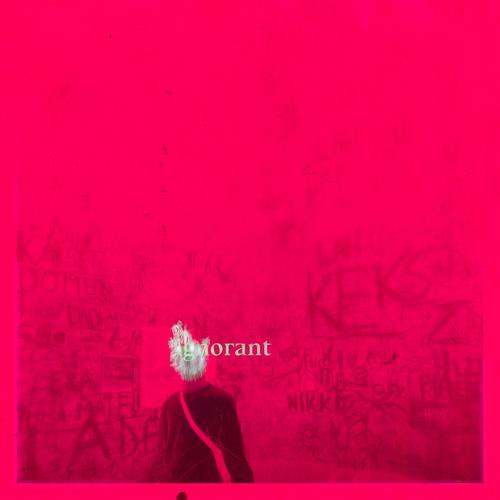 Ignorant (Explicit)