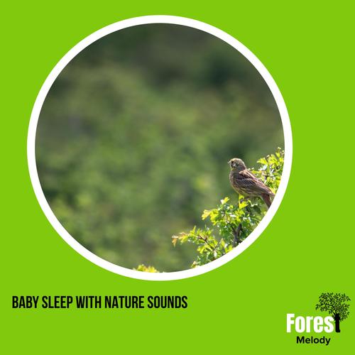 Baby Sleep with Nature Sounds