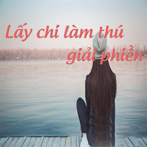 Lấy chi làm thú giải phiền