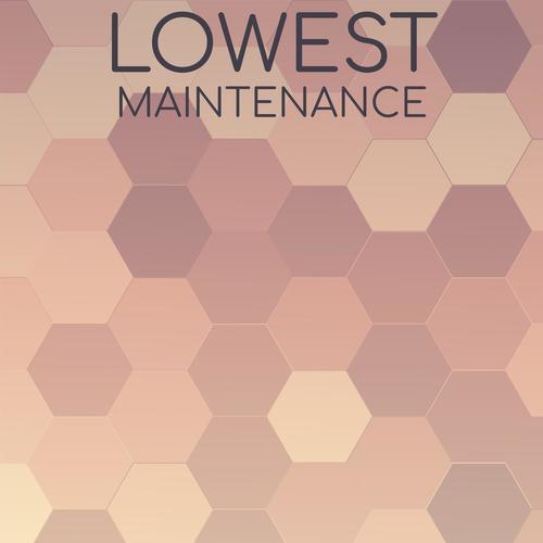 Lowest Maintenance