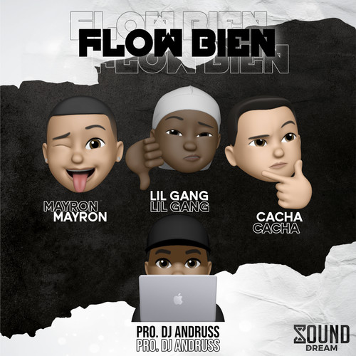 Flow Bien (Explicit)