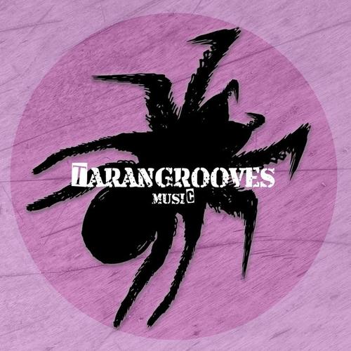Percussion Grooves