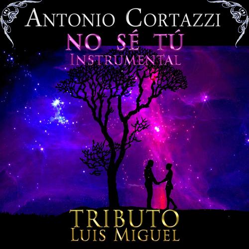 No Sé Tú (Instrumental)