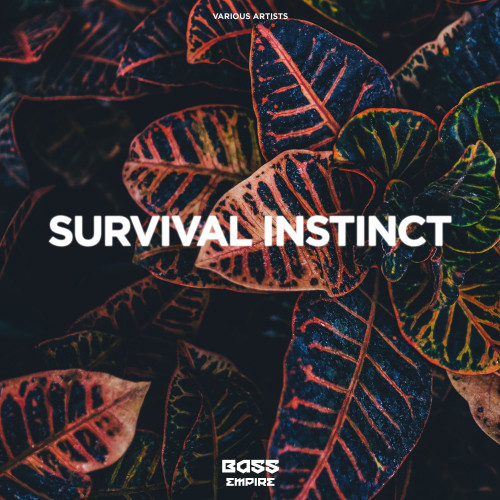 Survival Instinct