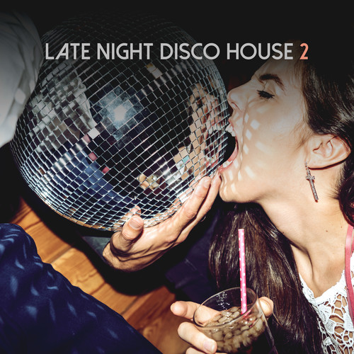 Late Night Disco House, Vol. 2