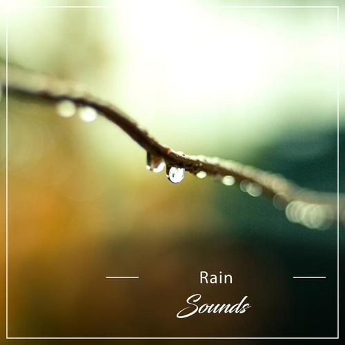 19 Sounds of Rain from Around the World