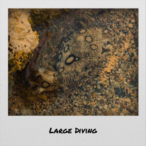 Large Diving