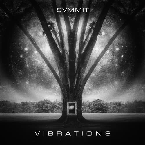 Vibrations
