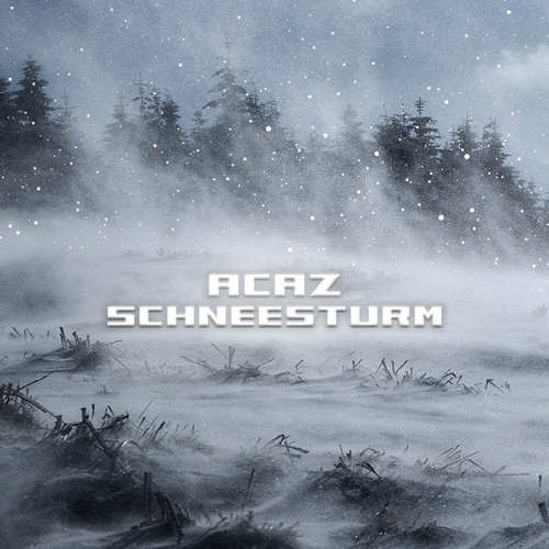 Schneesturm (Explicit)