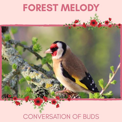 Forest Melody - Conversation of Buds