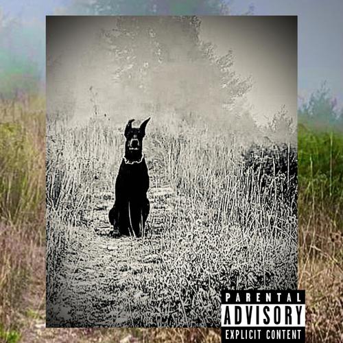 all my cats are dawgs (Explicit)