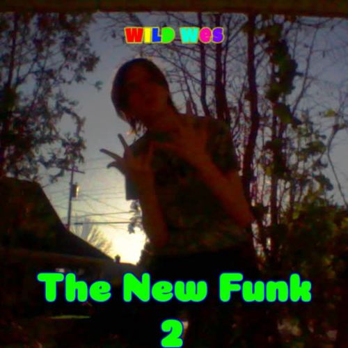 The New Funk 2 (Explicit)