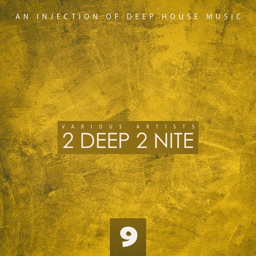 2 Deep 2 Nite, Vol. 9