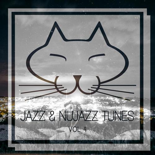 Jazz & Nujazz Tunes, Vol. 4