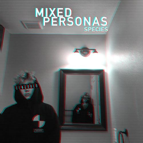Mixed Personas