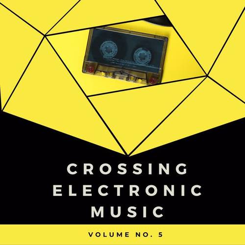 Crossing Electronic Music, Vol. 5 (Explicit)