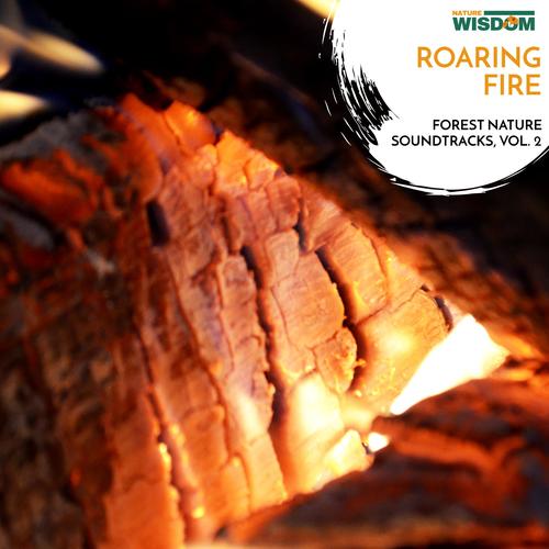 Roaring Fire - Forest Nature Soundtracks, Vol. 2