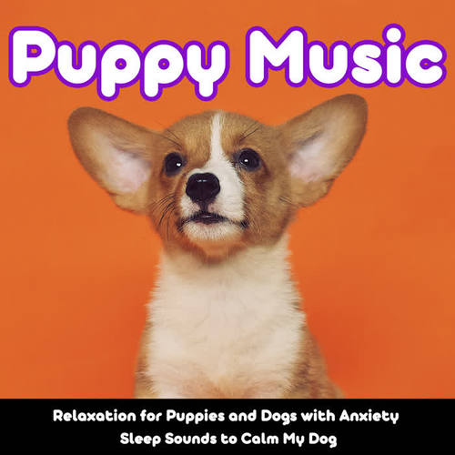 Puppy Music Relaxation for Puppies and Dogs with Anxiety (Sleep Sounds to Calm My Dog)