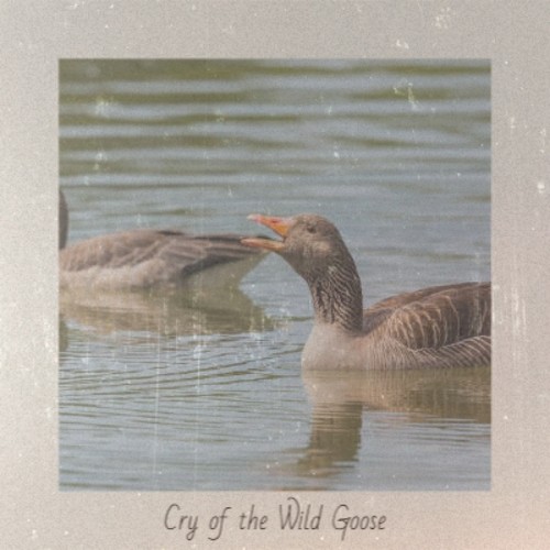 Cry of the Wild Goose