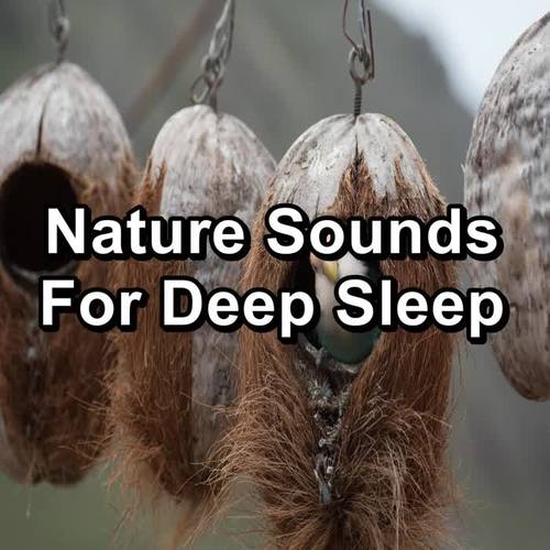 Nature Sounds For Deep Sleep