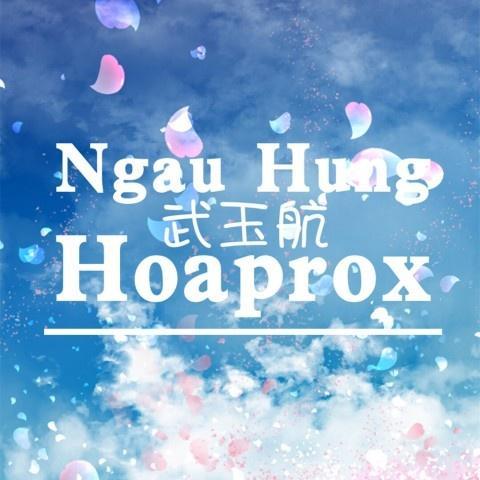 Hoaprox洪荒之力 (武玉航Remix)