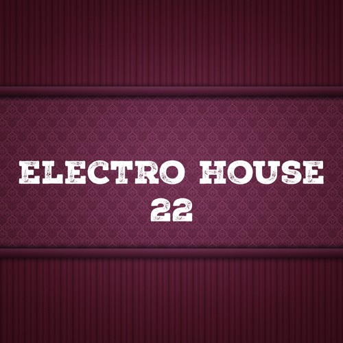 Electro House, Vol. 22