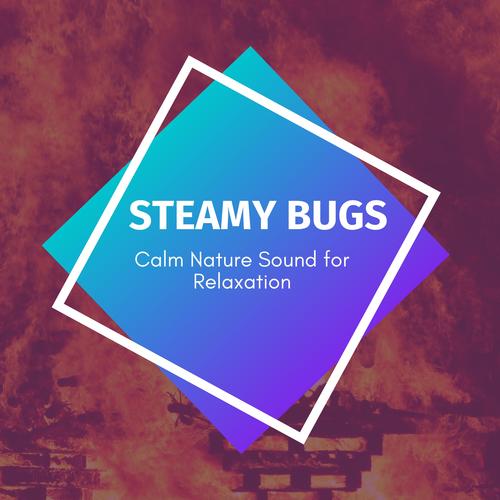 Steamy Bugs - Calm Nature Sound for Relaxation