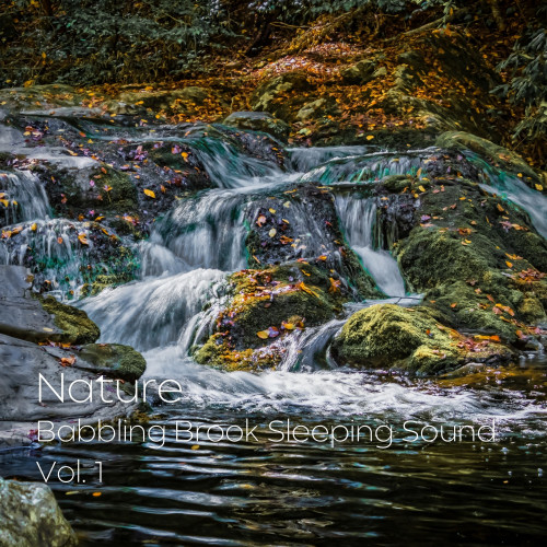 Nature: Babbling Brook Sleeping Sound Vol. 1