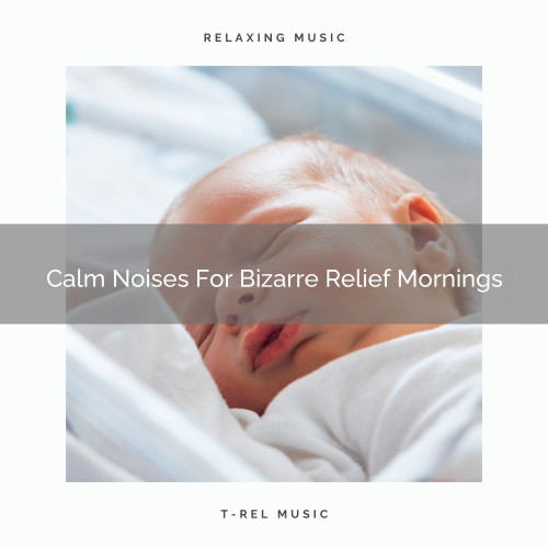 Calm Noises For Bizarre Relief Mornings