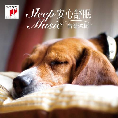 Sleep Music