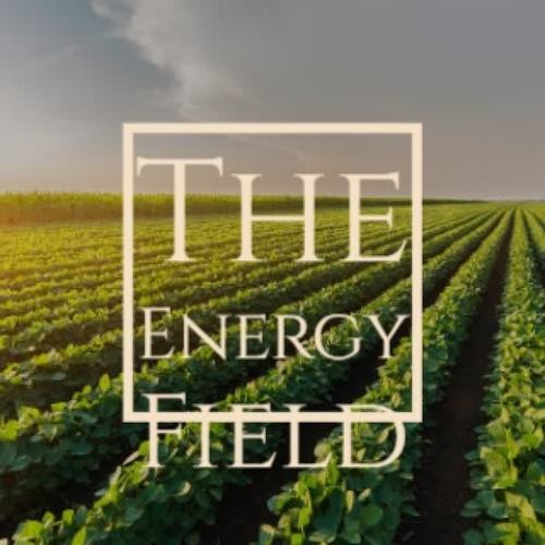 The Energy Field