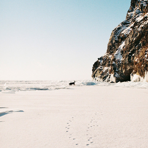 Walk in the Crisp Snow with My Four-Legged Friend