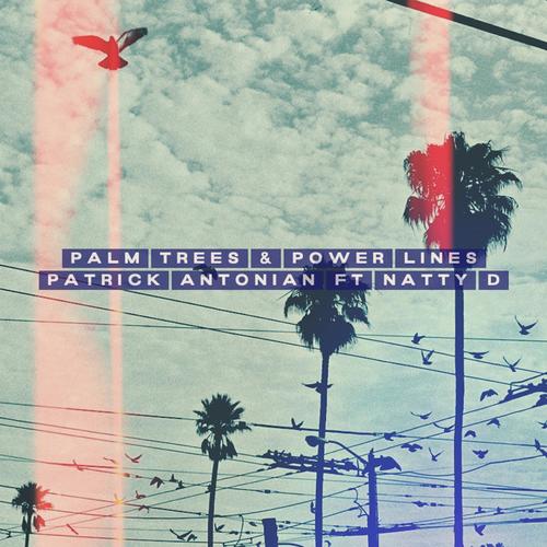 Palm Trees & Power Lines (feat. Natty D) [Explicit]