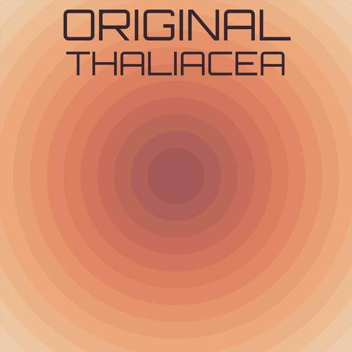 Original Thaliacea