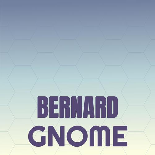 Bernard Gnome