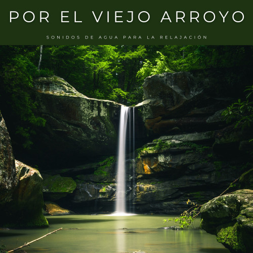 Por El Viejo Arroyo: Sonidos De Agua Para La Relajación