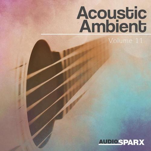 Acoustic Ambient Volume 11