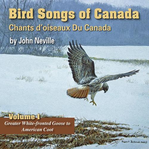 Bird Songs of Canada, Vol. 1