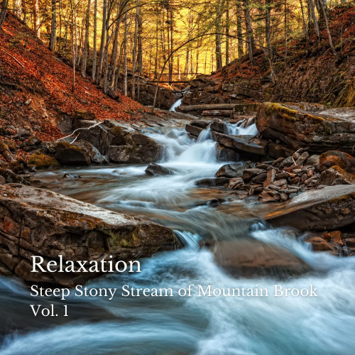 Relaxation: Steep Stony Stream of Mountain Brook Vol. 1